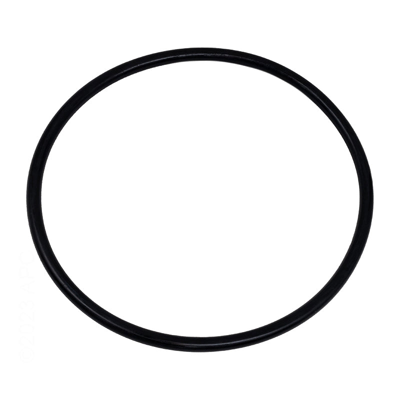 Hayward TriStar & EcoStar Pump Strainer Cover O-Ring | SPX3200S