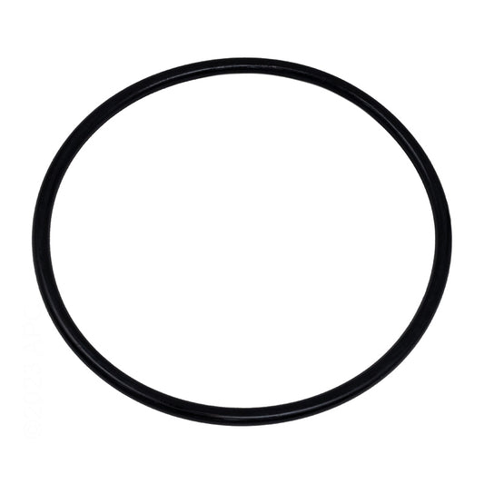 Hayward TriStar & EcoStar Pump Strainer Cover O-Ring | SPX3200S