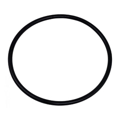 Hayward TriStar & EcoStar Pump Strainer Cover O-Ring | SPX3200S