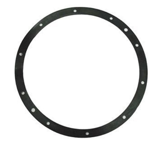 Super-Pro 10-Hole Vinyl Light Niche Gasket | G-110P-9