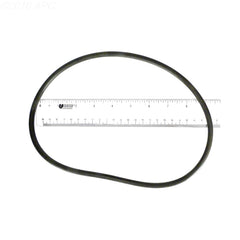 STARITE 8TRAP O-RING