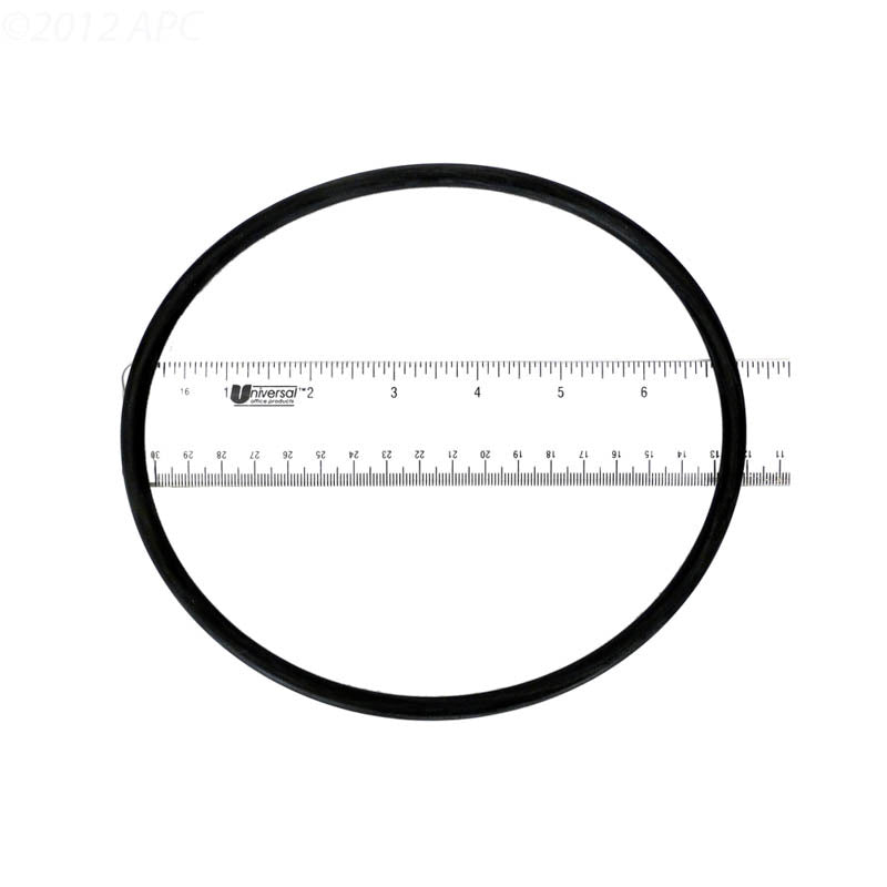 WET INSTITUTE LID O-RING
