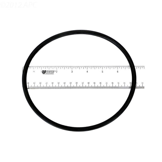 WET INSTITUTE LID O-RING