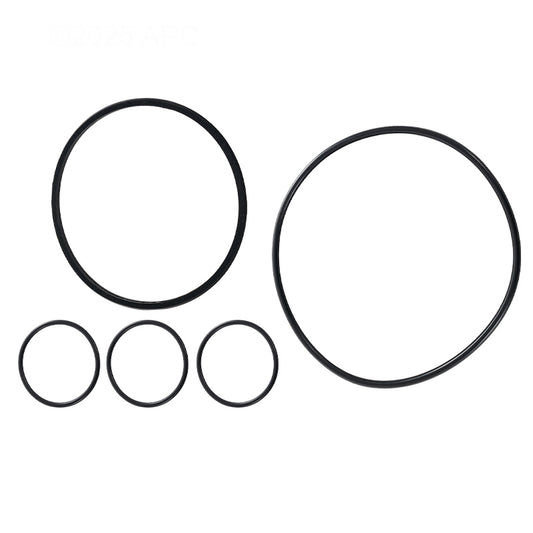 Hayward VL Series O-Ring Kit | VLX4004a