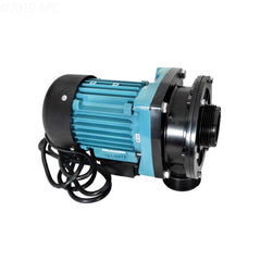 PUMP W/O STRAINER