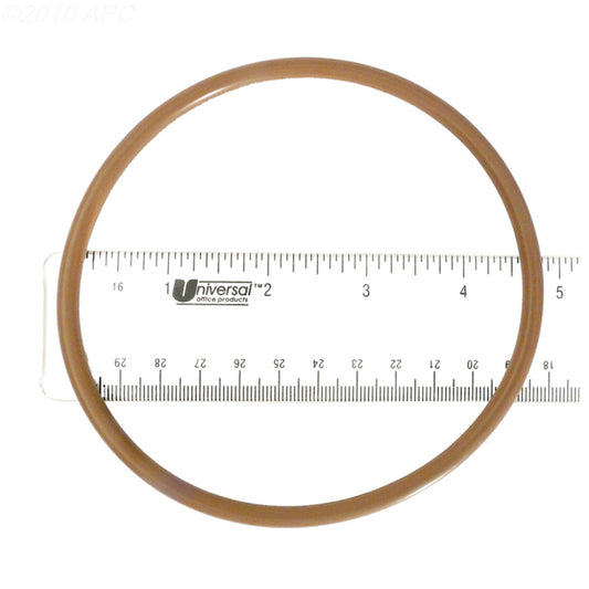 CHLORINATOR O-RING