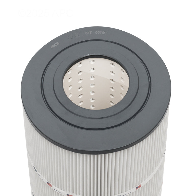 Waterway Filter Cartridge - 75 Sq. ft. | 817-0075P