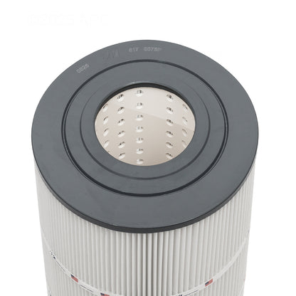 Waterway Filter Cartridge - 75 Sq. ft. | 817-0075P