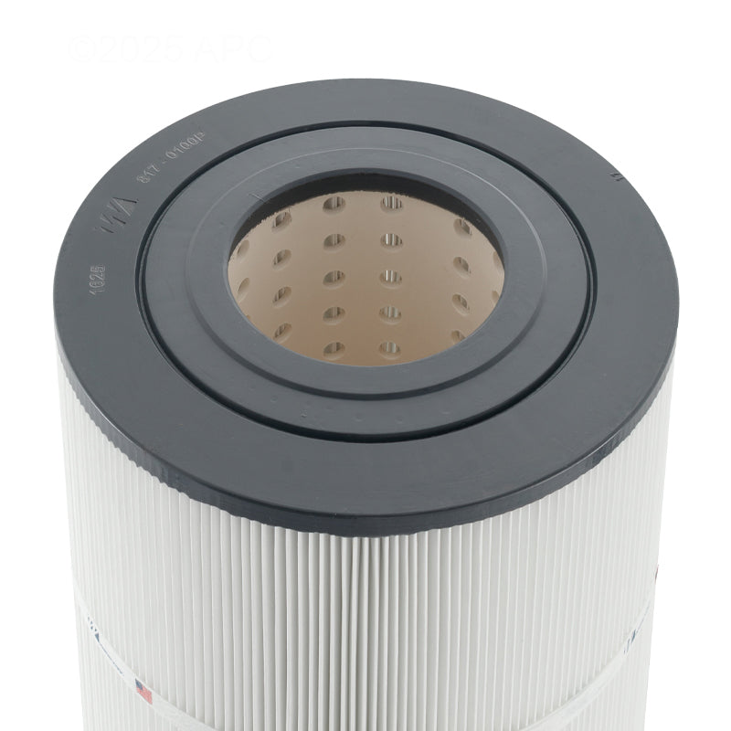 Waterway Filter Cartridge - 100 Sq. Ft. | 817-0100P