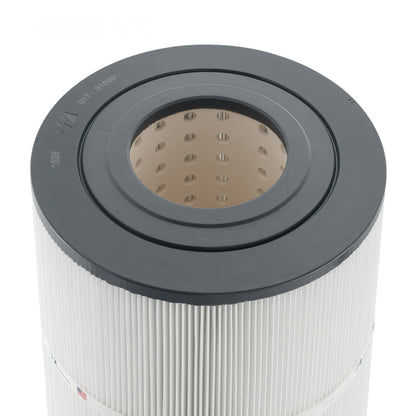 Waterway Filter Cartridge - 100 Sq. Ft. | 817-0100P