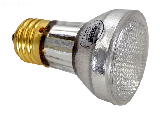 SPA BULB 60W PAR16 130V