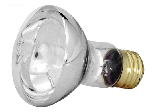 SPA BULB 100W,12V