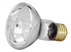 SPA BULB 100W,12V