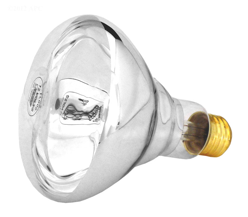 BULB 100W/12V MEDIUM BASE