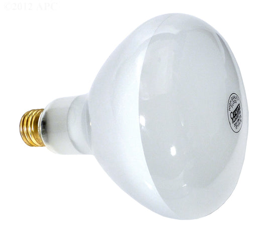 BULB 300W,12V MEDIUM BASE