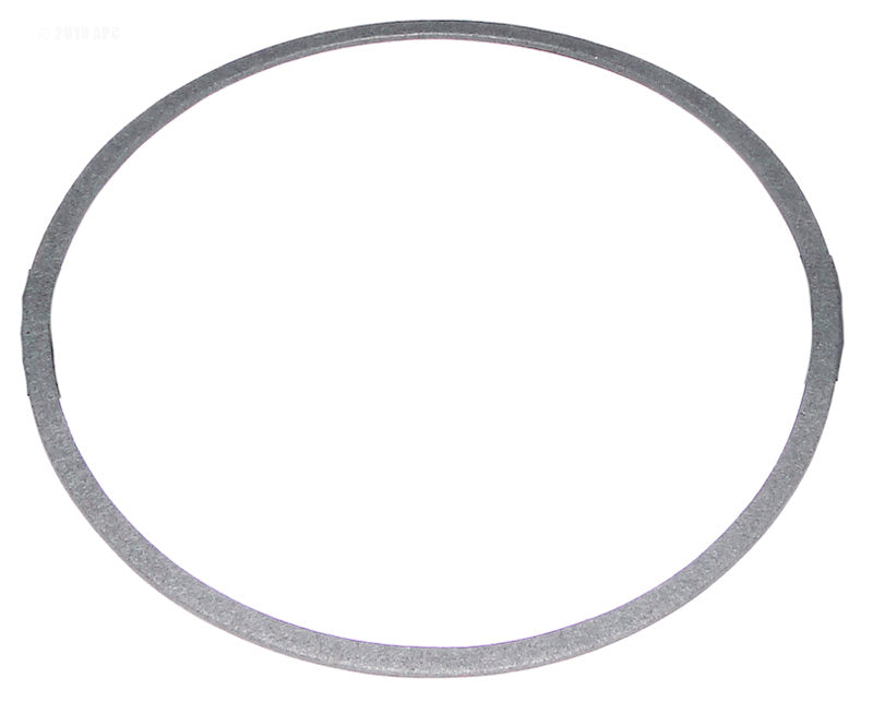 C20079 STARITE PUMP GASKET