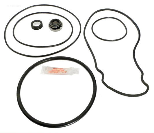 WHISPERFLO REPAIR KIT