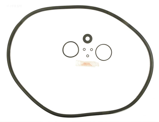 HAYWARD DE720S O-RING KIT