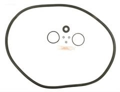 HAYWARD DE720S O-RING KIT