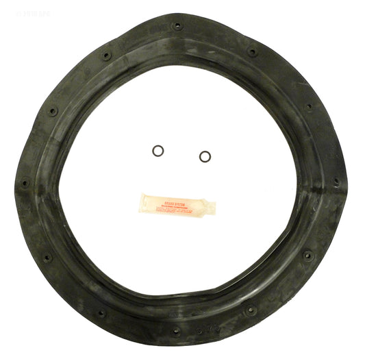 HAYWARD EC40/50 O-RING KIT