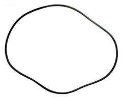 2470073 24" TANK O-RING SWIMQUIP