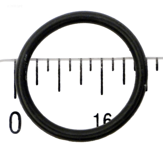 PVD24 O-RING