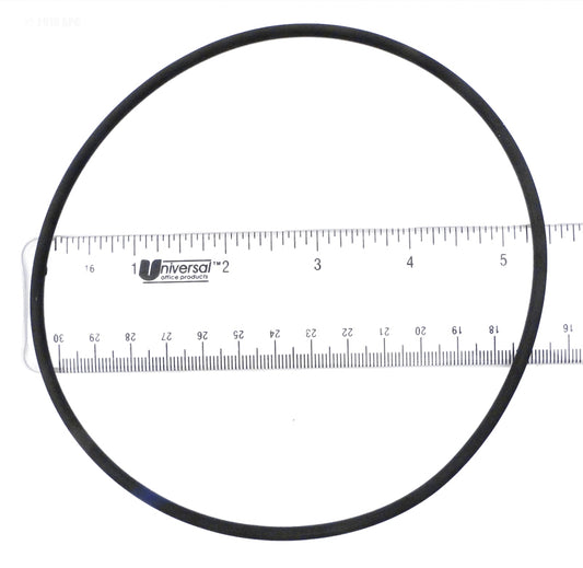 WATERWAY CHLORINATOR O-RING