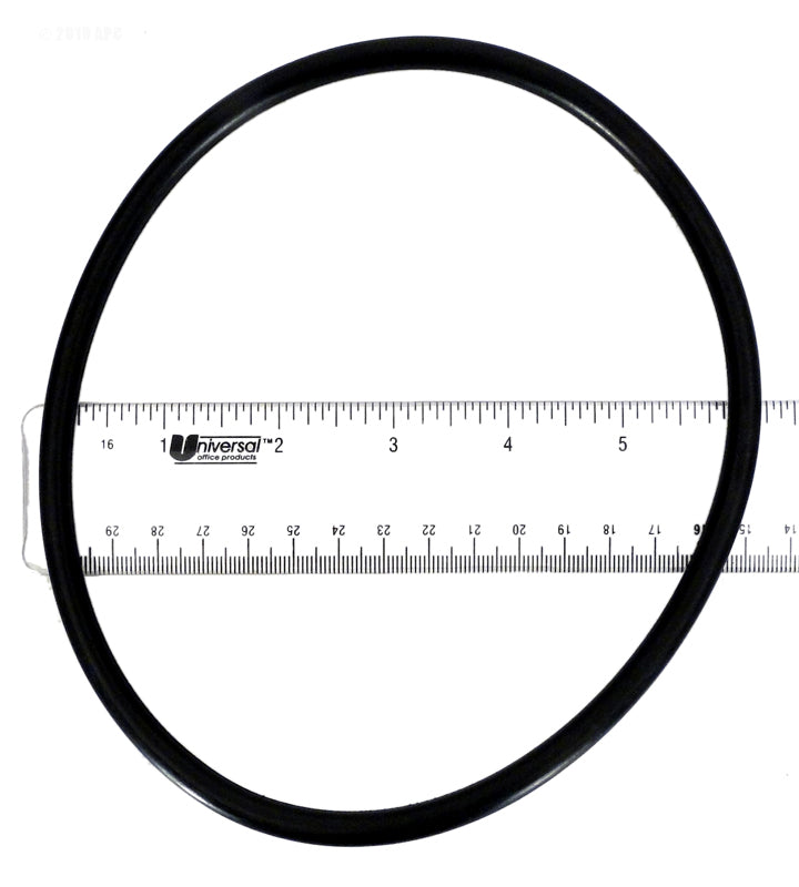 STRAINER LID O-RING / SPRINT