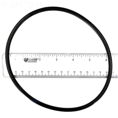 LEAF CANISTER O-RING