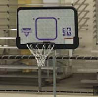 BACKBOARD ONLY SWIM N DUNK