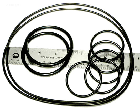 CARETAKER O-RING KIT