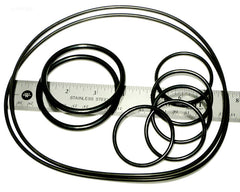 CARETAKER O-RING KIT