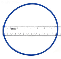 FILTER HEAD O-RING (C400)