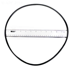 O-RING FOR FILTER HEAD C200S