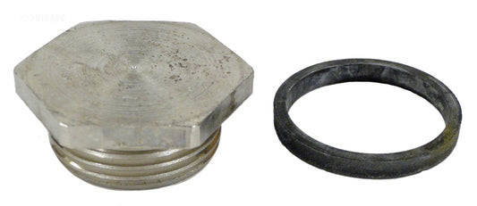 ELEMENT PLUG W/GASKET
