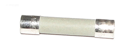 FUSE MDL 10 AMP 250V