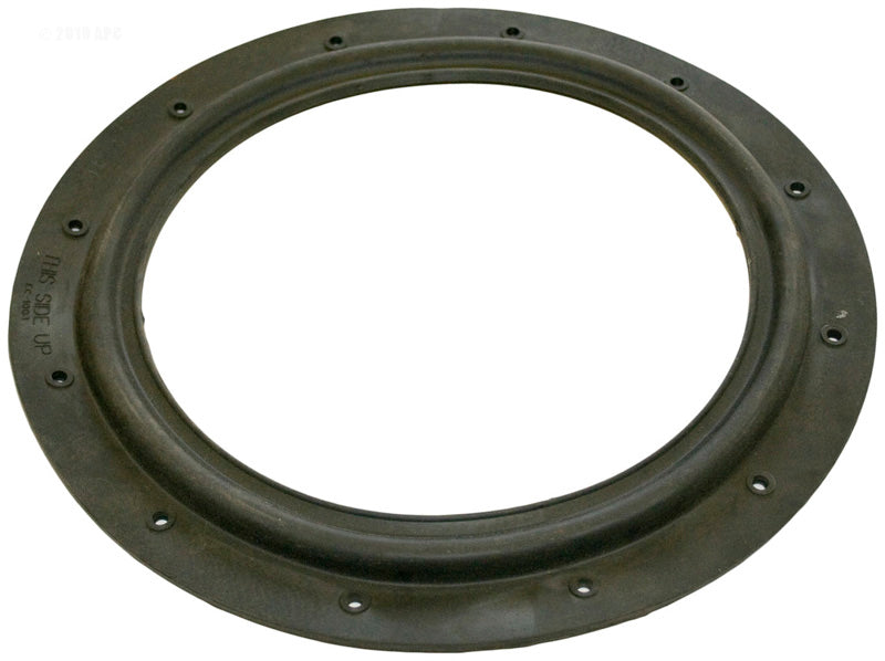 DIAPHRAGM GASKET EC50A