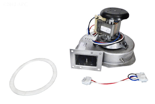 COMBUSTION BLOWER FD