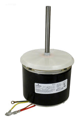 FAN MOTOR