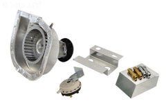 COMBUSTION BLOWER
