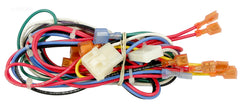 WIRE HARNESS