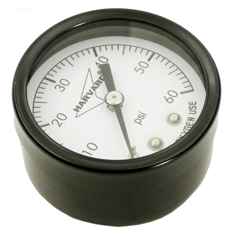 PRESSURE GAUGE .25" MPT BACK