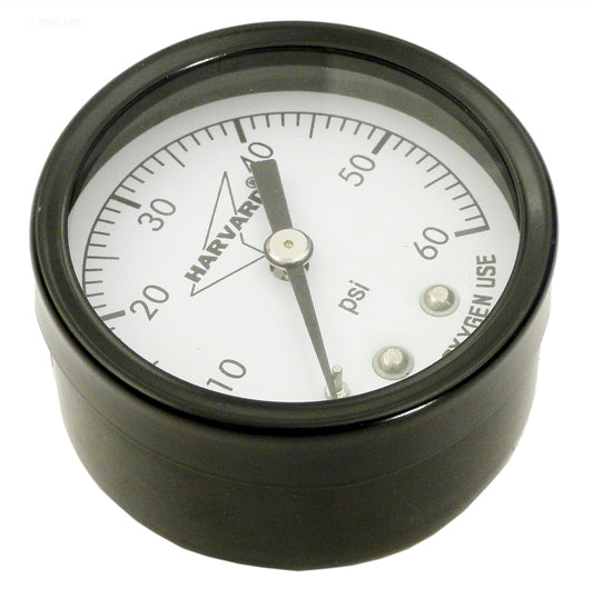 PRESSURE GAUGE .25" MPT BACK