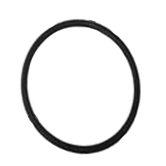 O-RING VITON LARGE CHLORINE FEEDER (15-470 & 15-475) CL200K