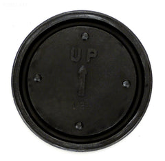 DIAPHRAGM