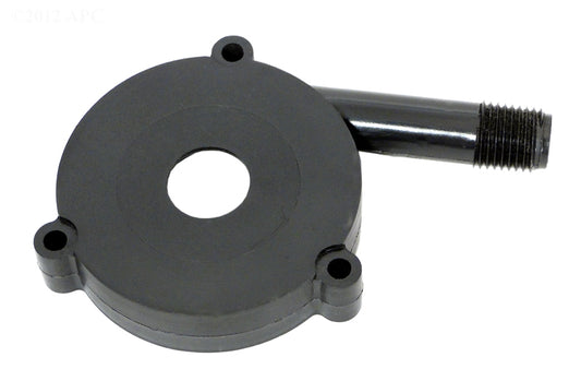 LITTLE GIANT VOLUTE