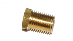 LAARS 1/4" BRASS PLUG