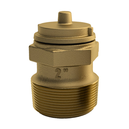 2" MPT BRONZE HYDROSTATIC VALVE