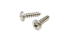 SCREW, TOP, #10 X 3/4" SS