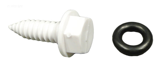 DRAIN PLUG ASSEMBLY